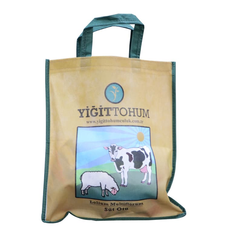 Tela Nonwoven Çantalar thumbnail 1